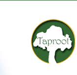 taproot, n., the central root of a tree.